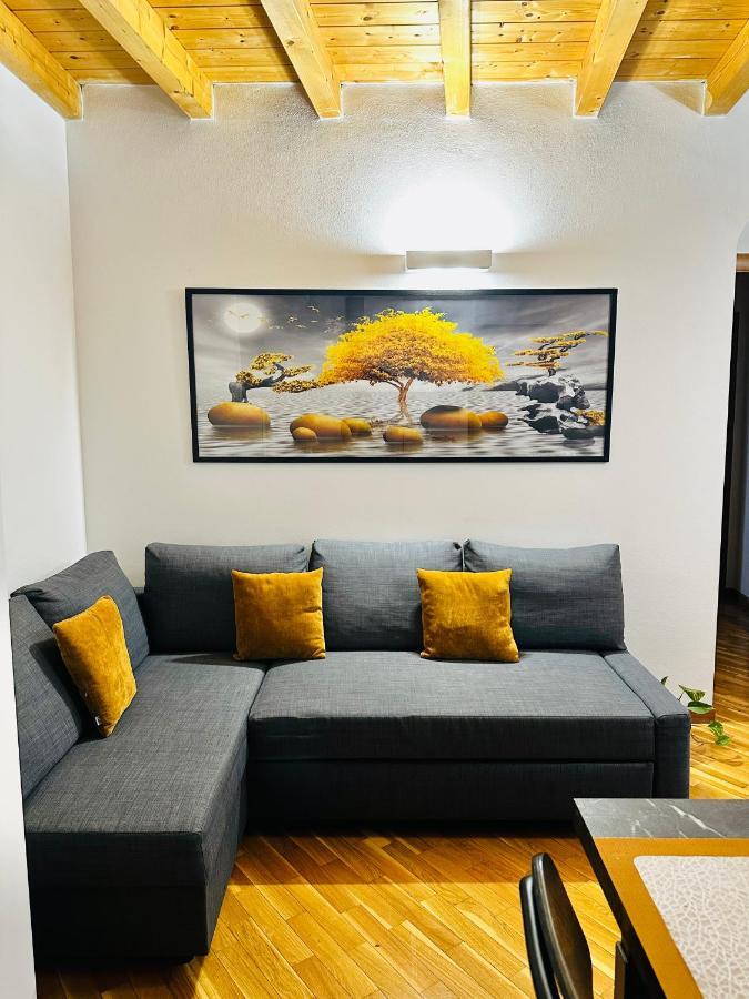 Apartment Stella Center *